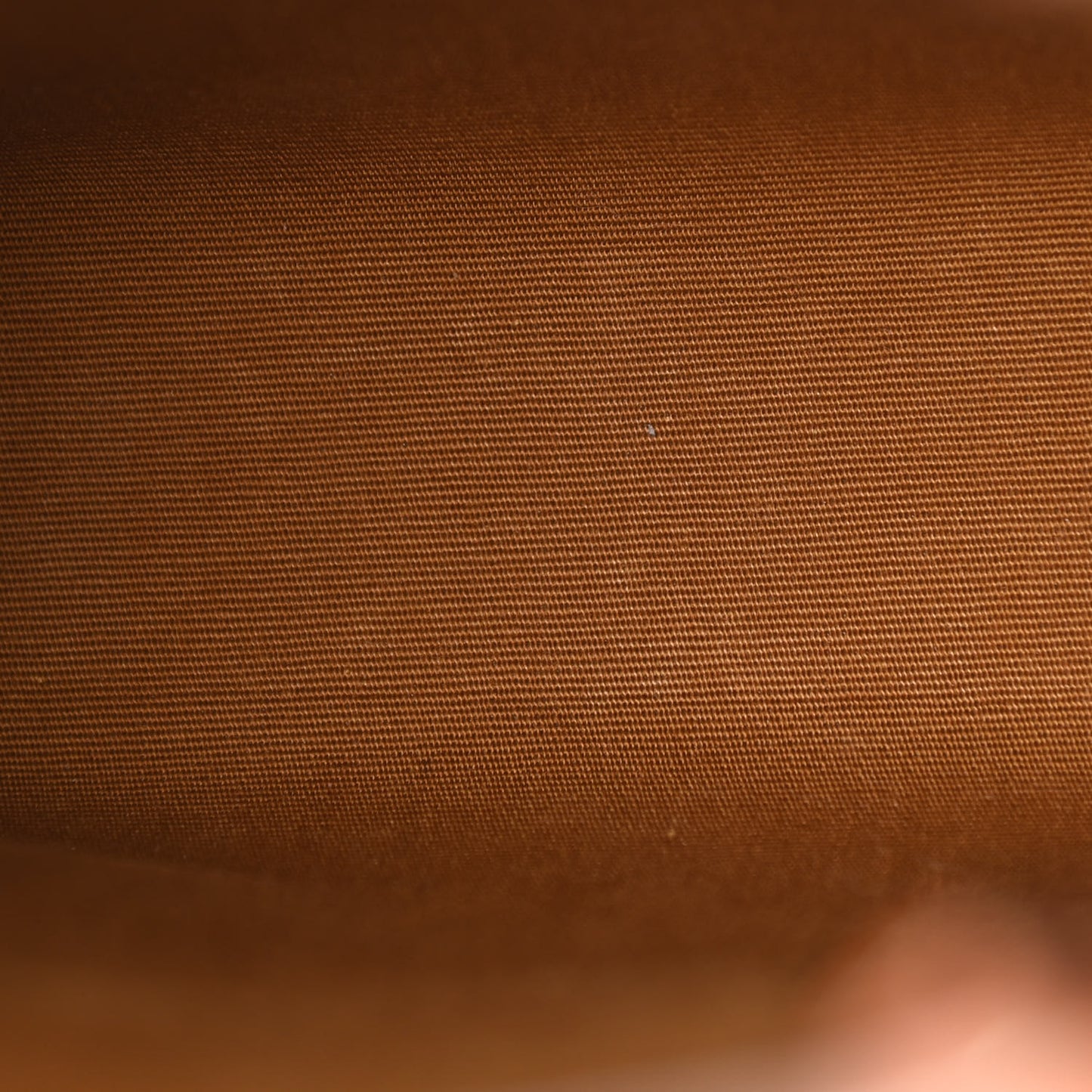 Triomphe Canvas Calfskin Mini Vertical Cabas Tan