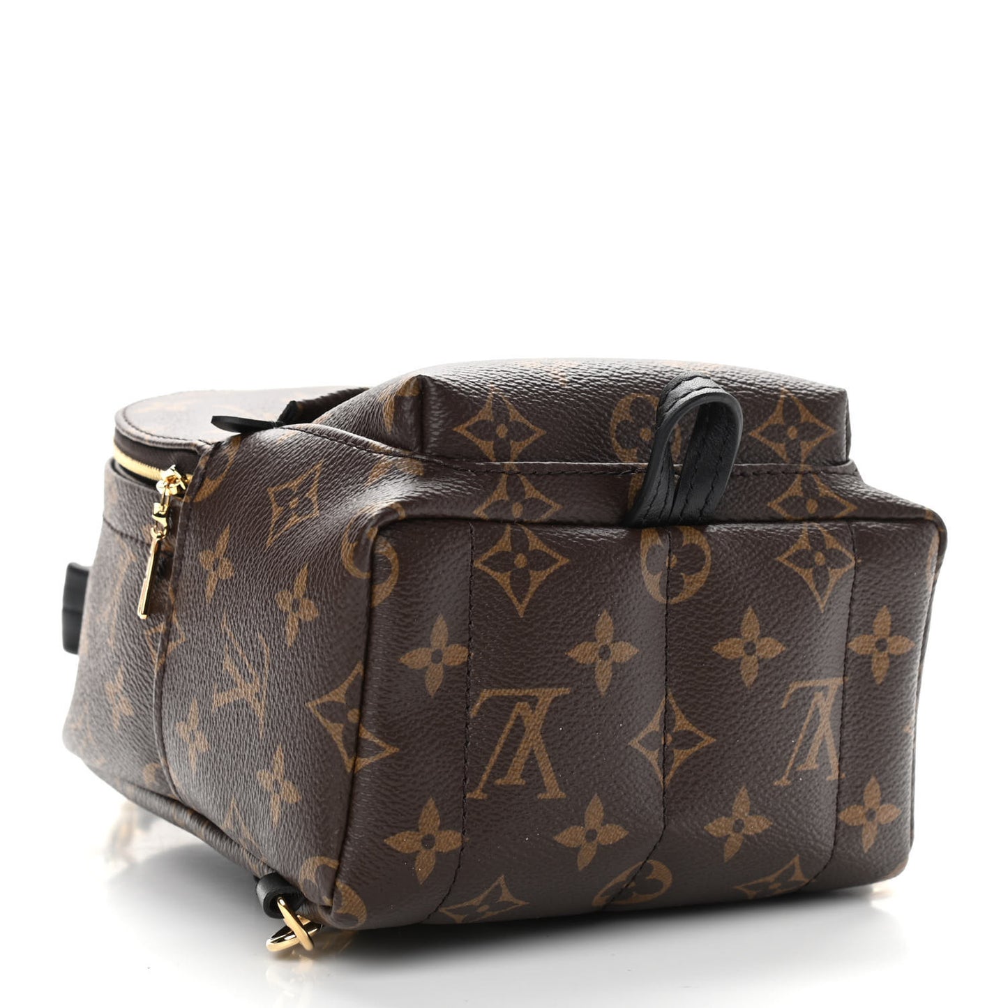 Monogram Palm Springs Backpack Mini