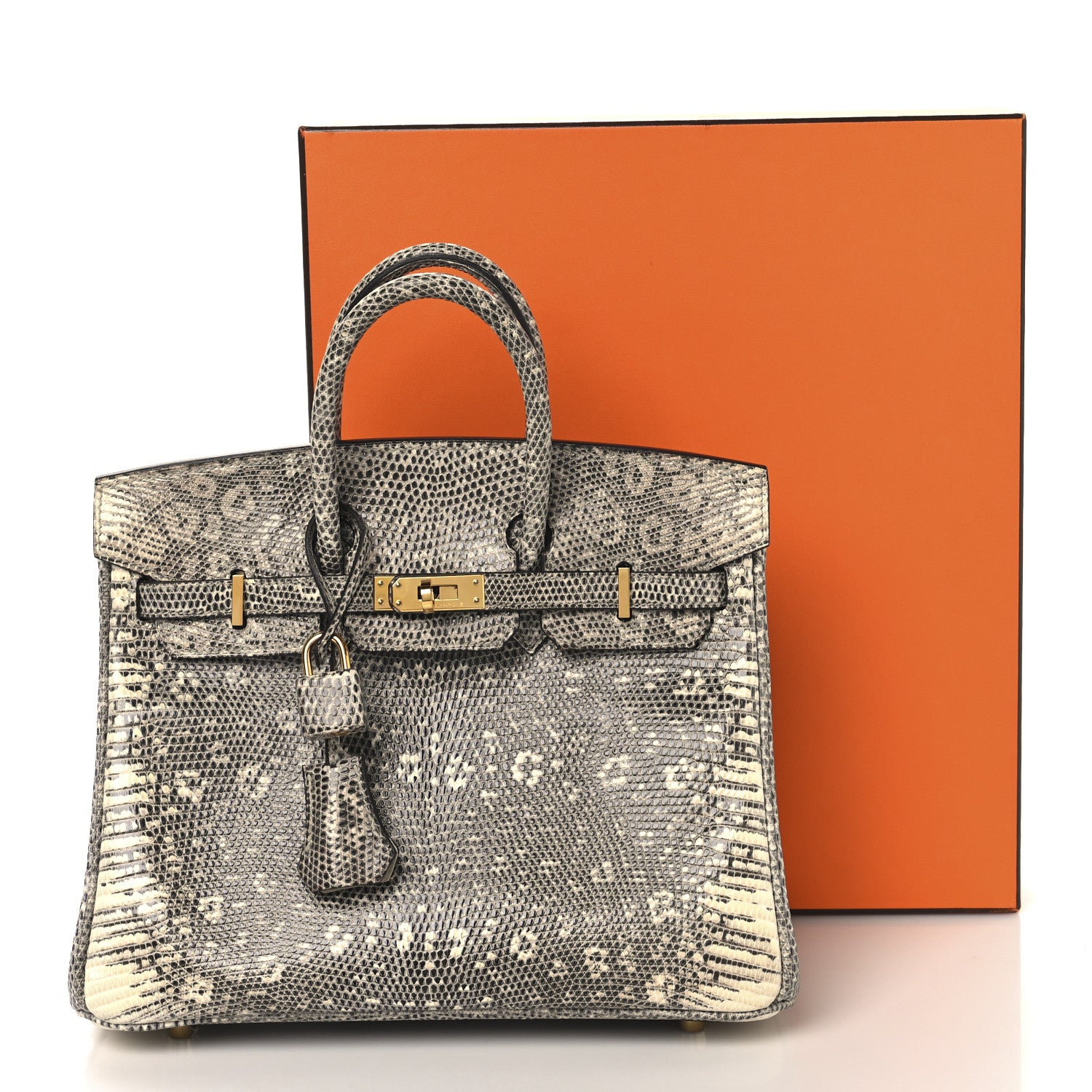 Hermes Lizard Birkin 25 Ombre 1767242 – FASHIONPHILE