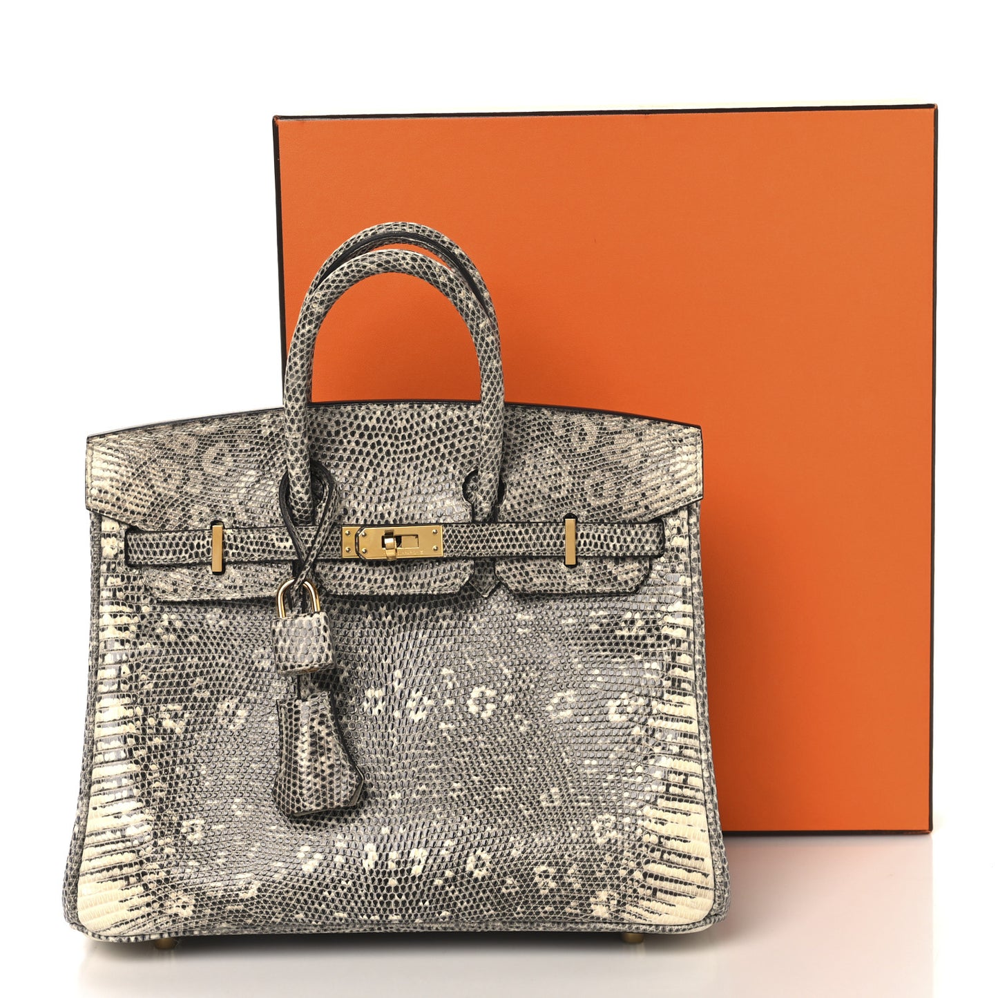 Lizard Birkin 25 Ombre