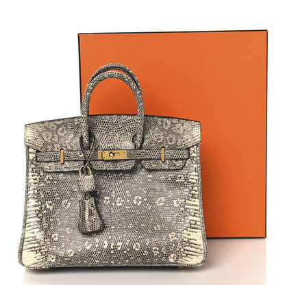 Hermes Lizard Birkin 25 Ombre 13 of 13