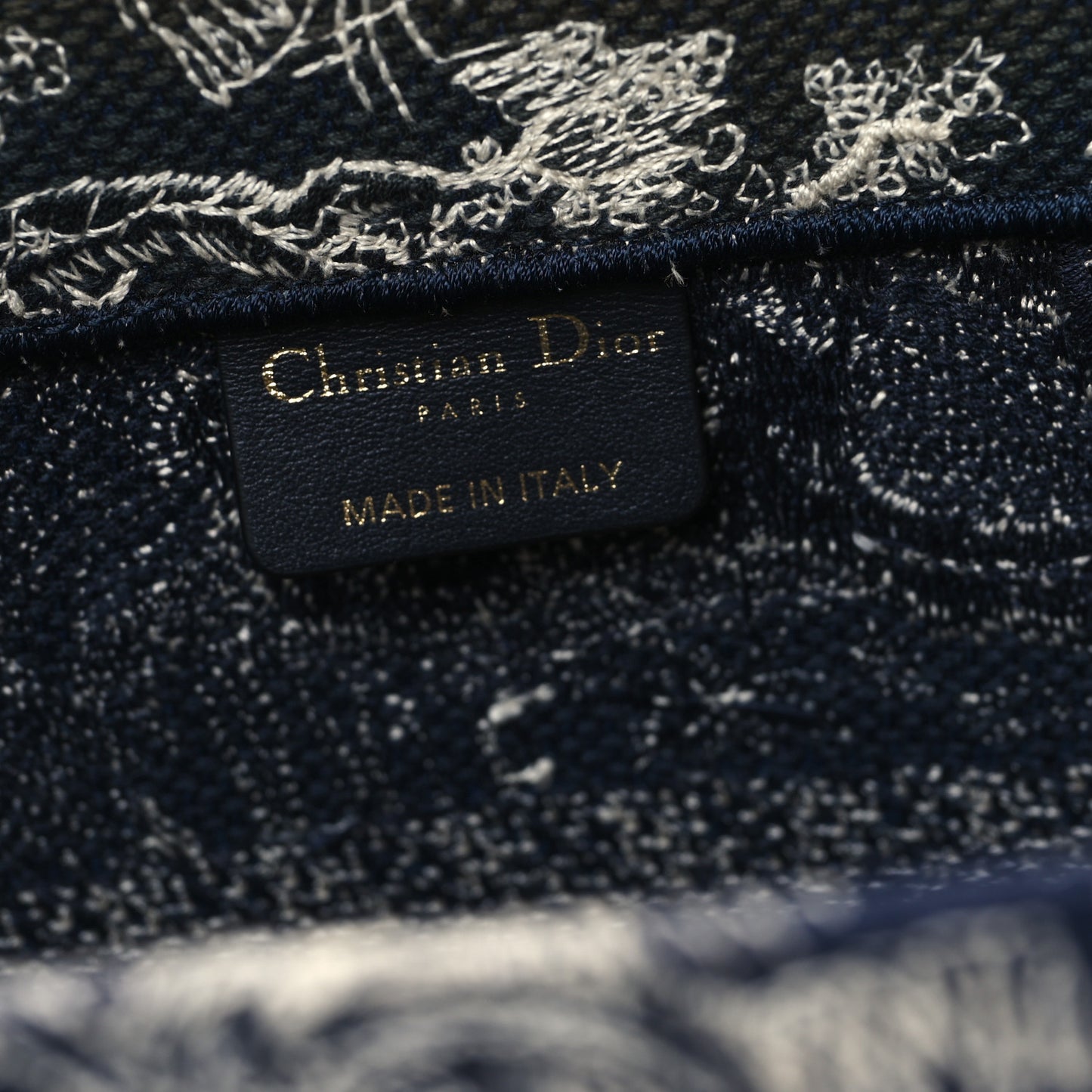 Canvas Embroidered Medium Dioriviera Toile De Jouy Reverse Book Tote Blue