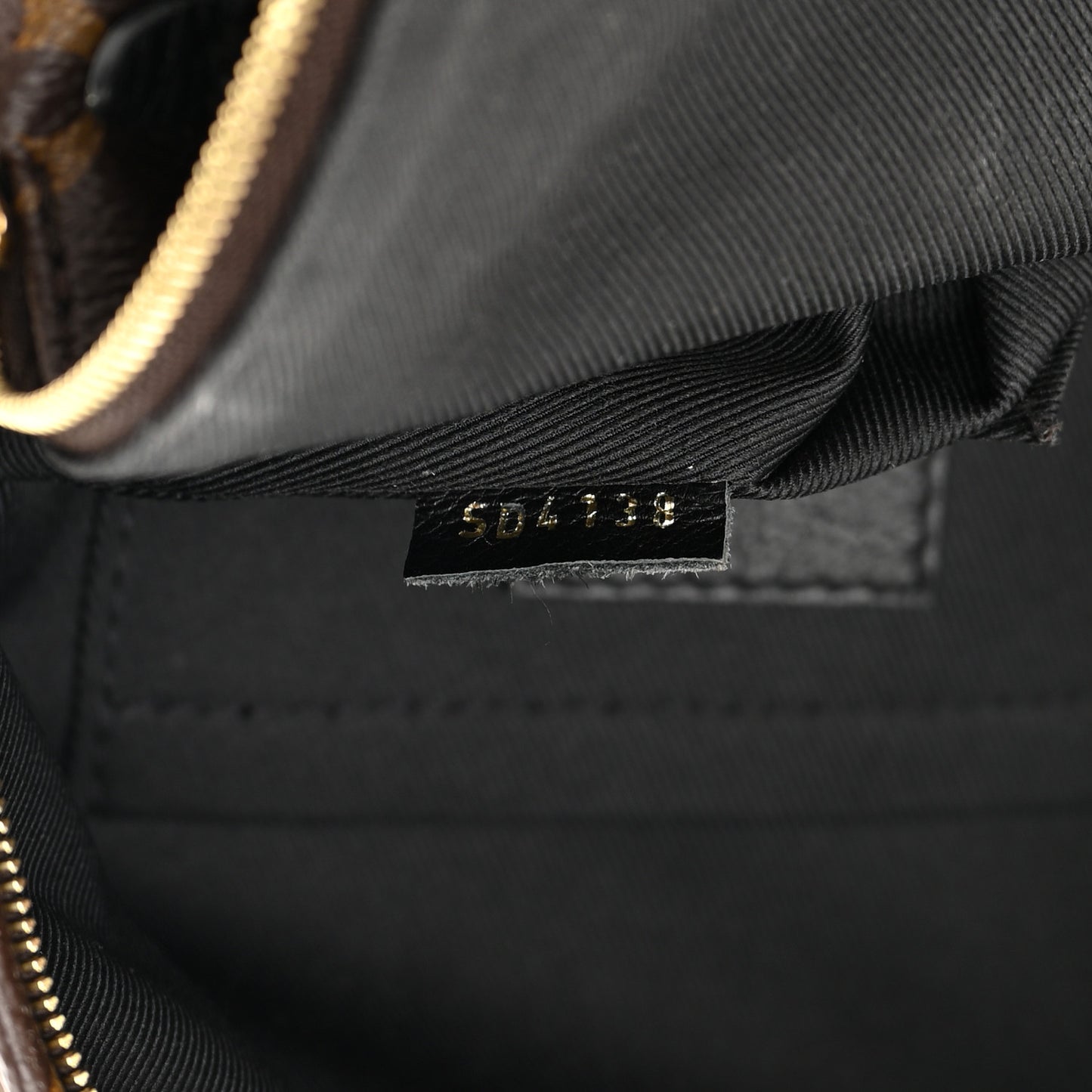Monogram Palm Springs Backpack Mini