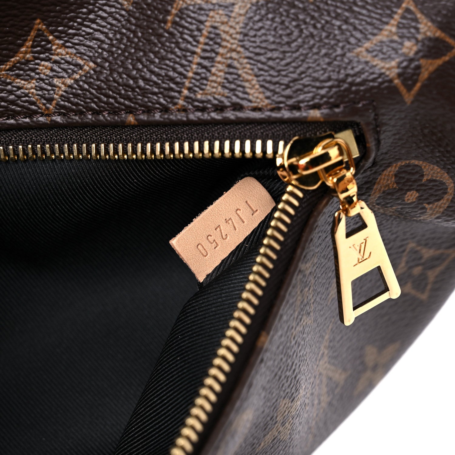 Louis Vuitton Monogram Bumbag 7 of 14