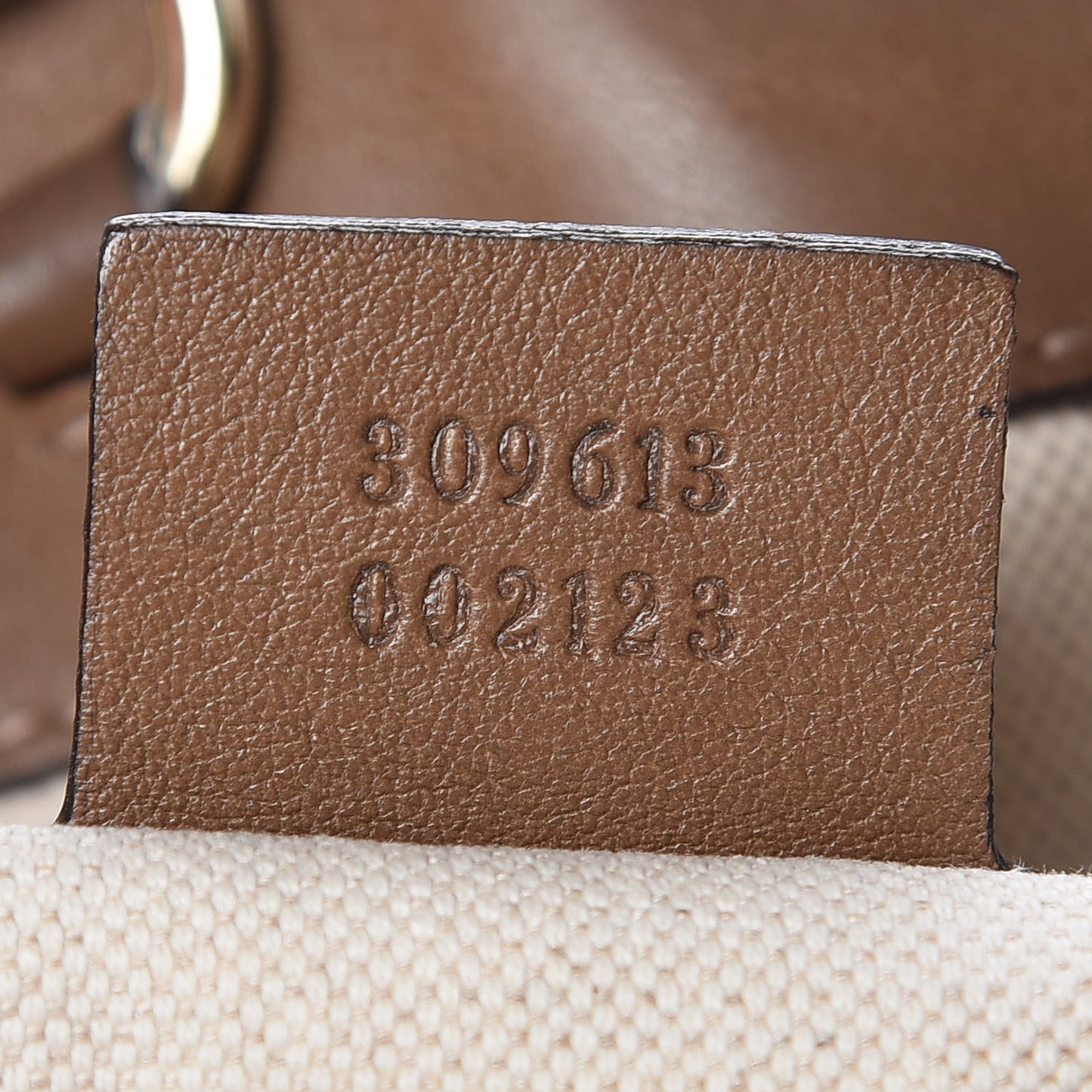 Monogram Saint Cloud PM