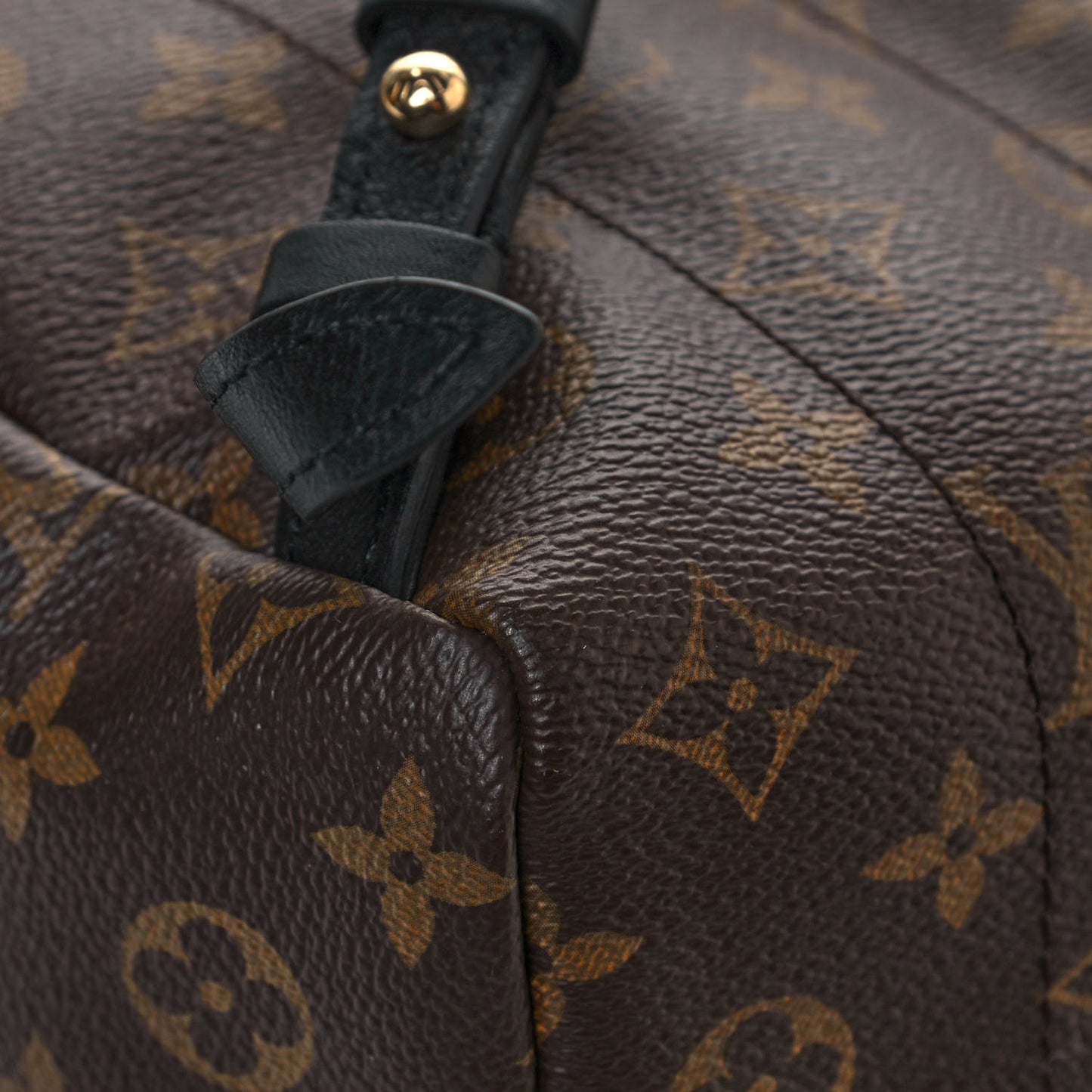Monogram Palm Springs Backpack PM