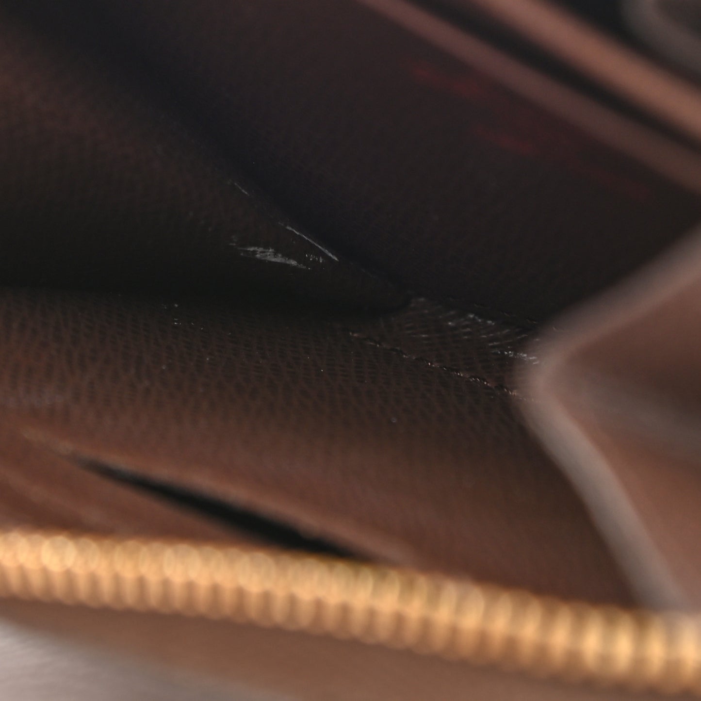Damier Ebene Zippy Coin Purse