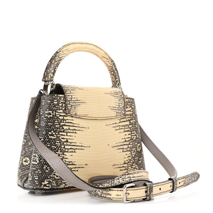 Louis Vuitton Lizard Ombre Capucines Mini Natural 3 of 11