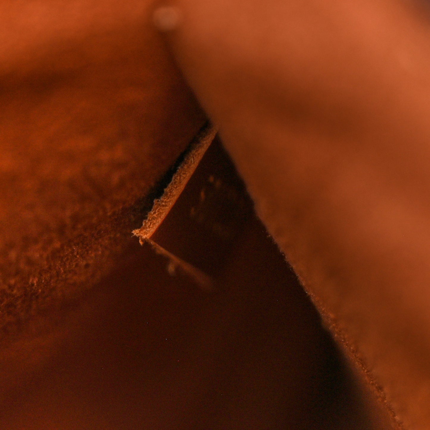 Monogram Neonoe MM Caramel