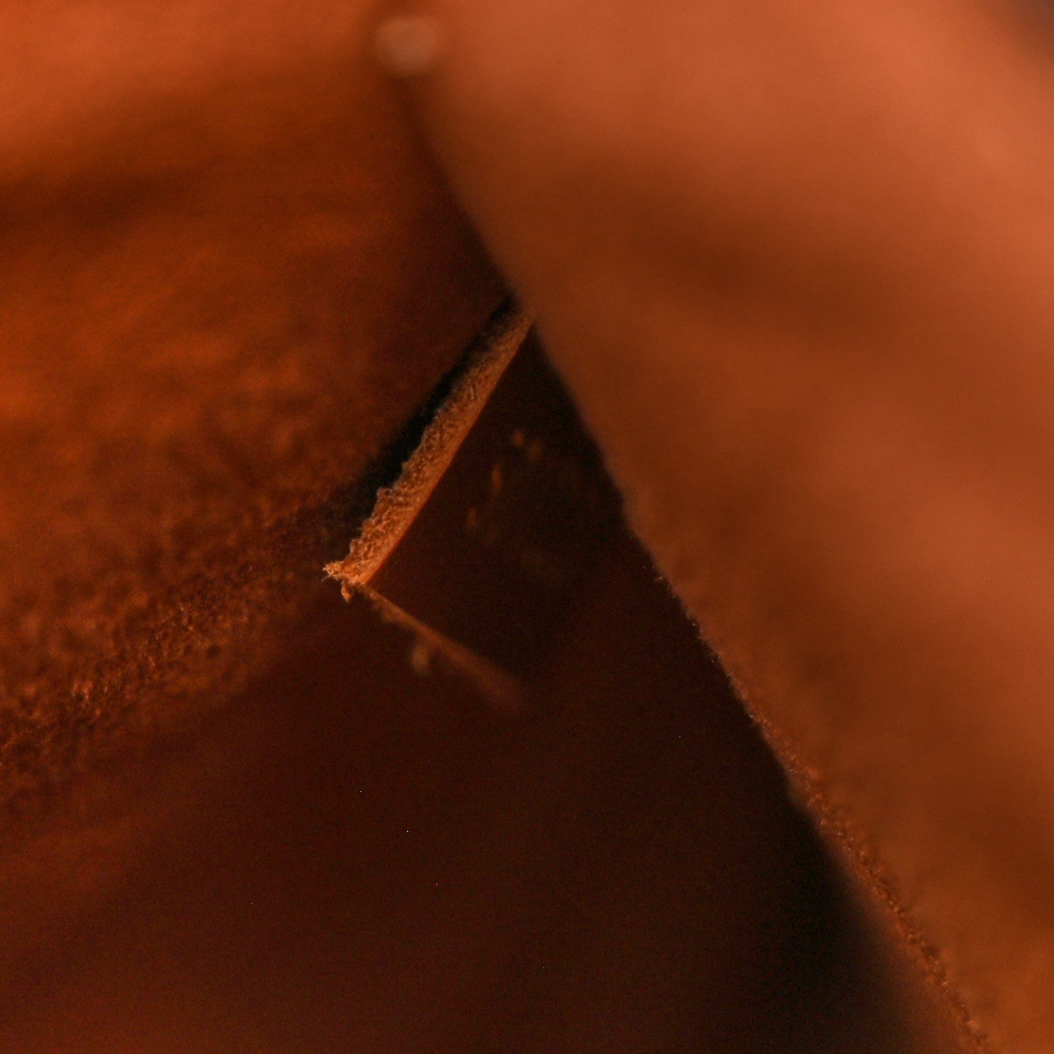 Louis Vuitton Monogram Neonoe MM Caramel 8 of 11