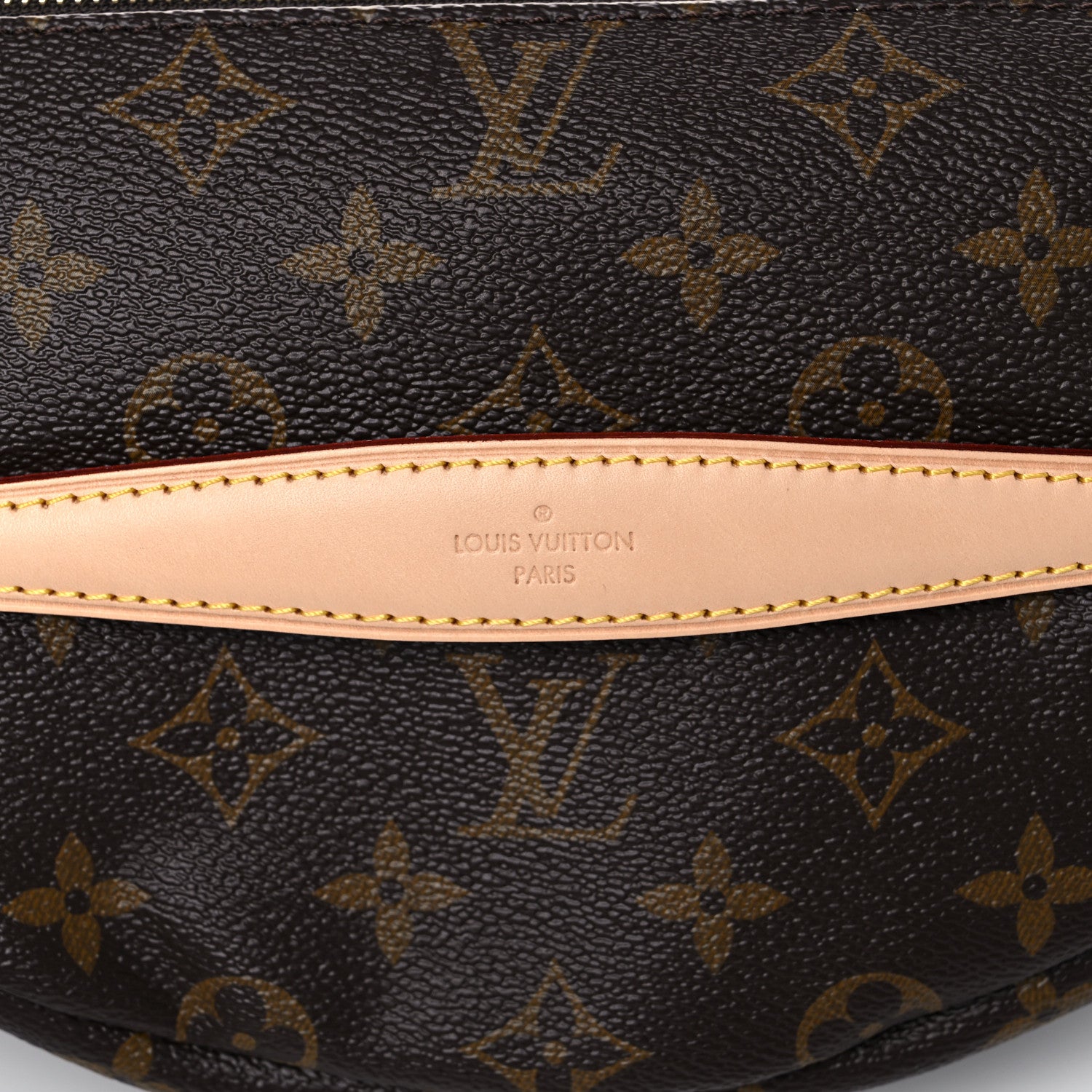 Louis Vuitton Monogram Bumbag 10 of 11