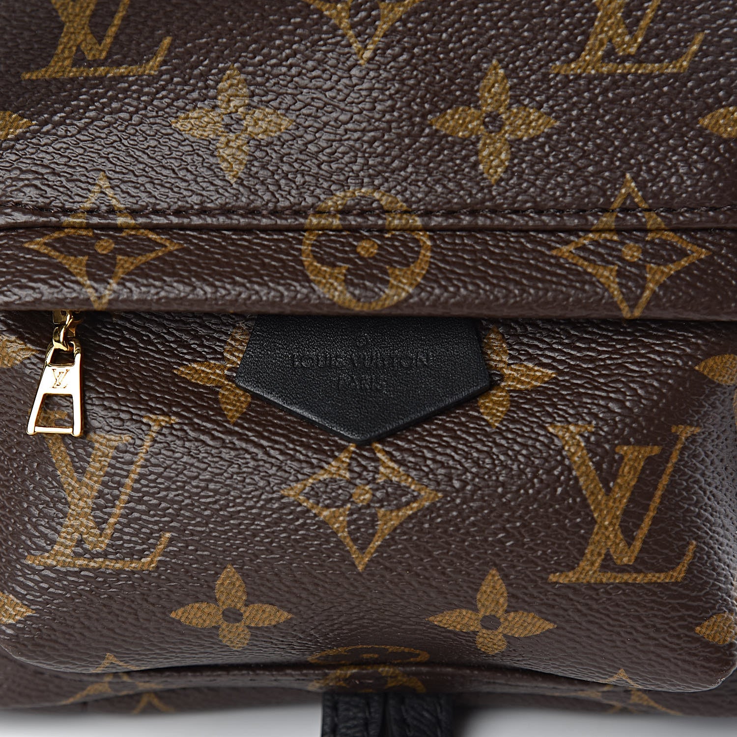 Louis Vuitton Monogram Palm Springs Backpack Mini 6 of 10