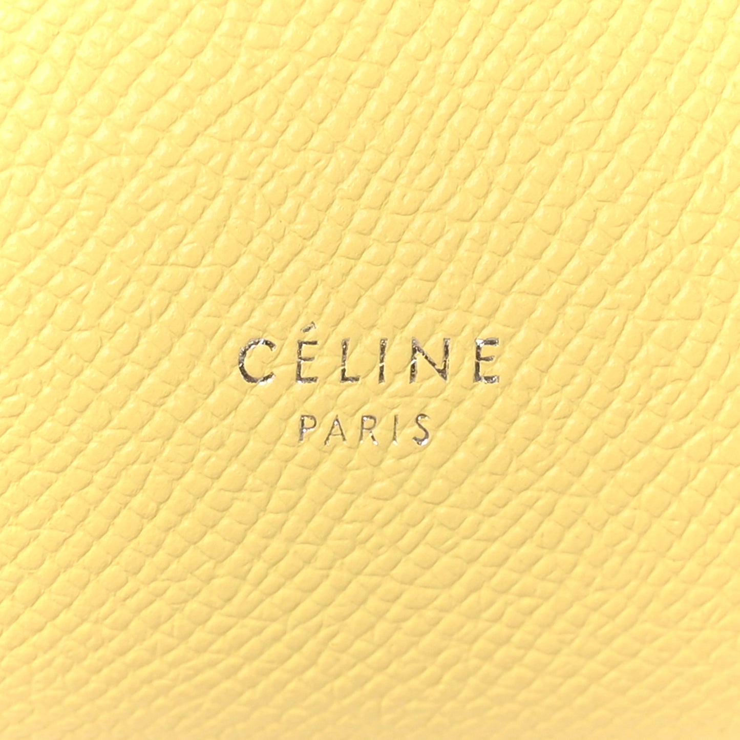 Grained Calfskin Nano Belt Bag Citrus