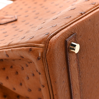 Hermes Ostrich Birkin 30 Gold 10 of 11