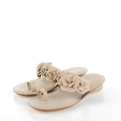 Chanel Lambskin Camellia Sandals 35 Light Beige 3 of 8