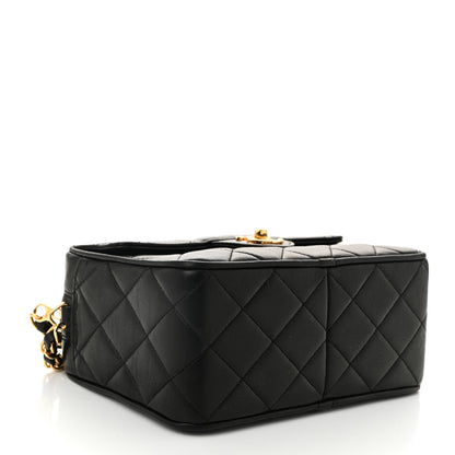 Chanel Lambskin Quilted Flap Camera Tassel Case Black 4 of 12