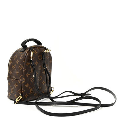 Louis Vuitton Monogram Palm Springs Backpack Mini 3 of 11