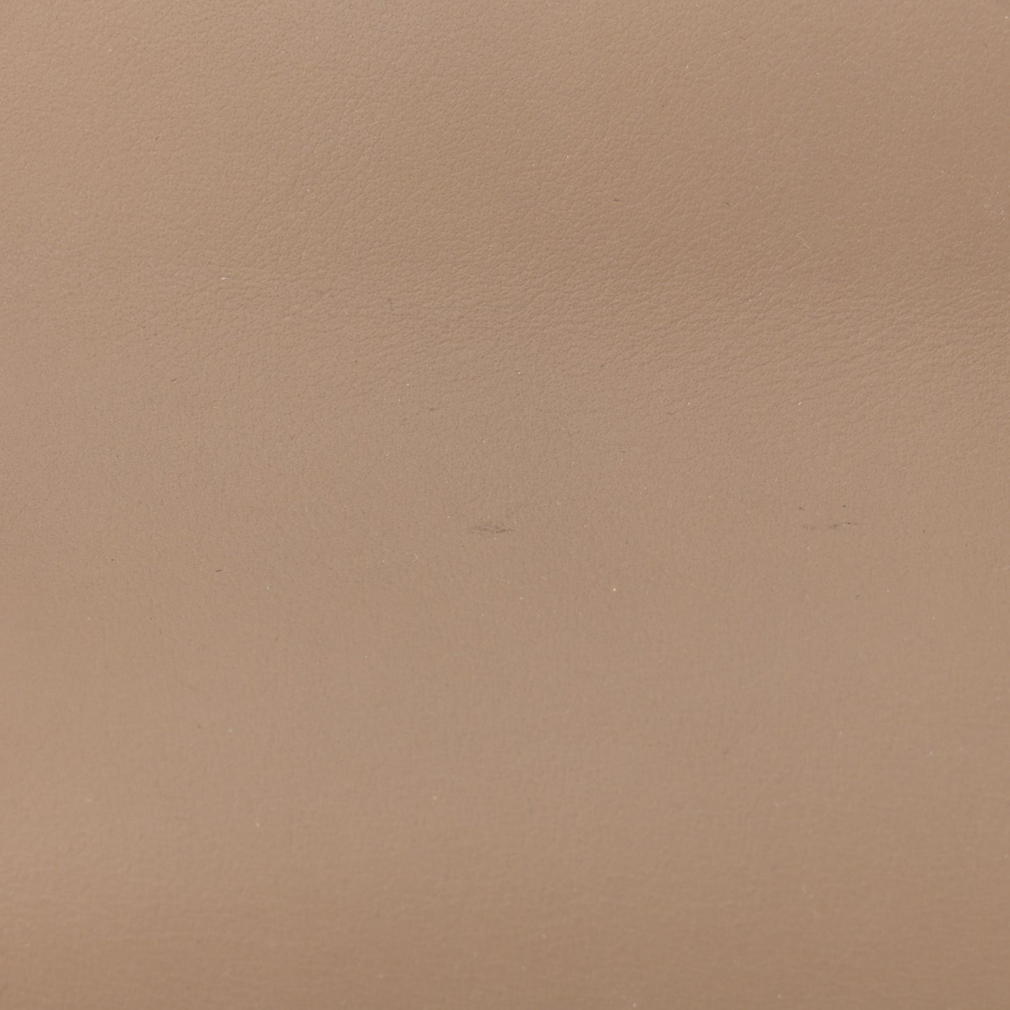 GG Supreme Monogram Mini Dionysus Chain Wallet Beige Taupe