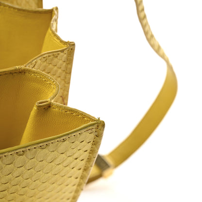 Celine Snakeskin Medium Classic Box Yellow 13 of 13
