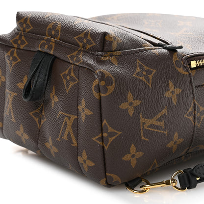 Louis Vuitton Monogram Palm Springs Backpack Mini 10 of 11