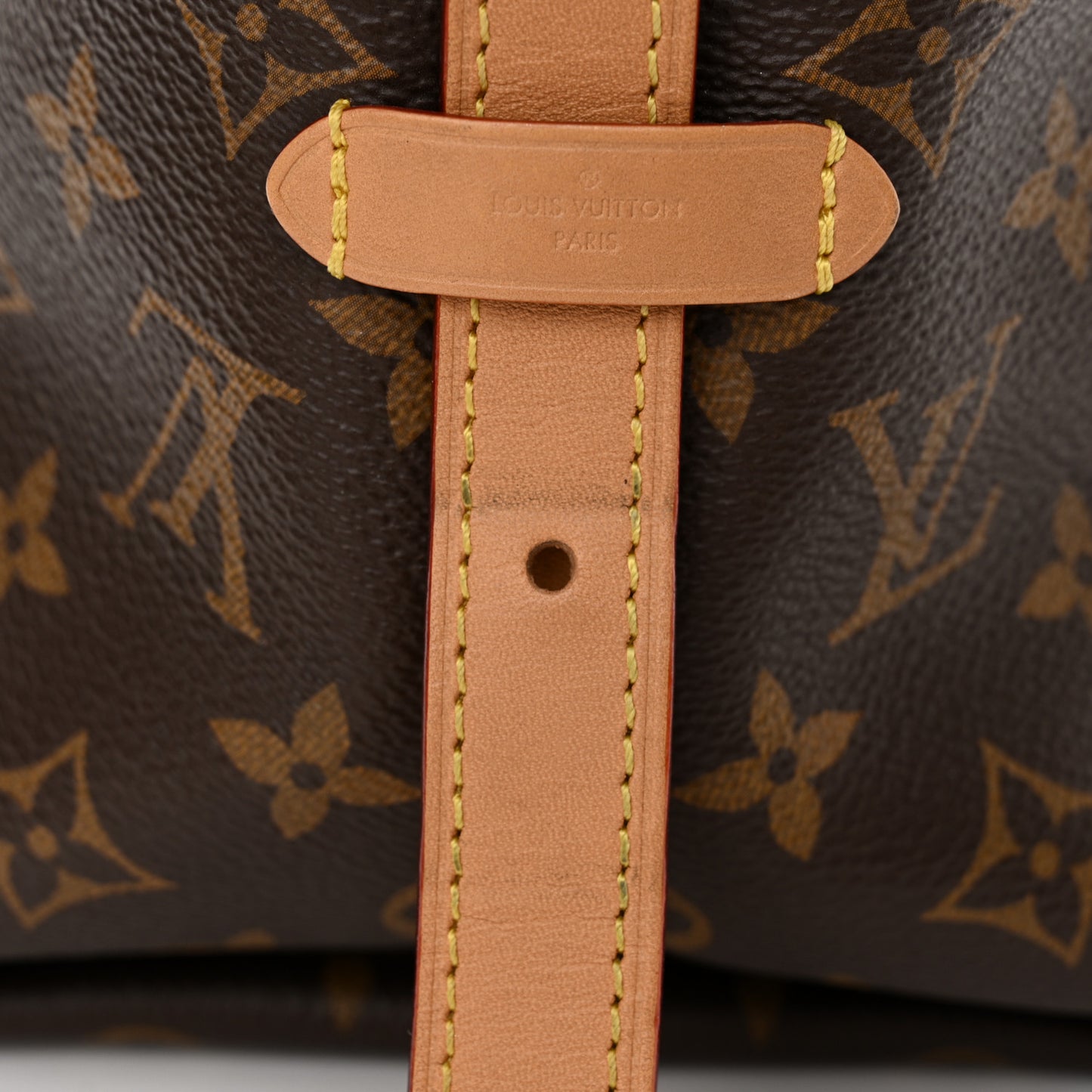 Monogram CarryAll PM