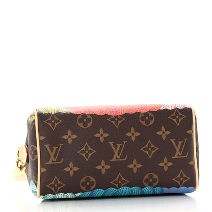 Louis Vuitton LV X YK Monogram Pumpkins Speedy Bandouliere 20 4 of 10