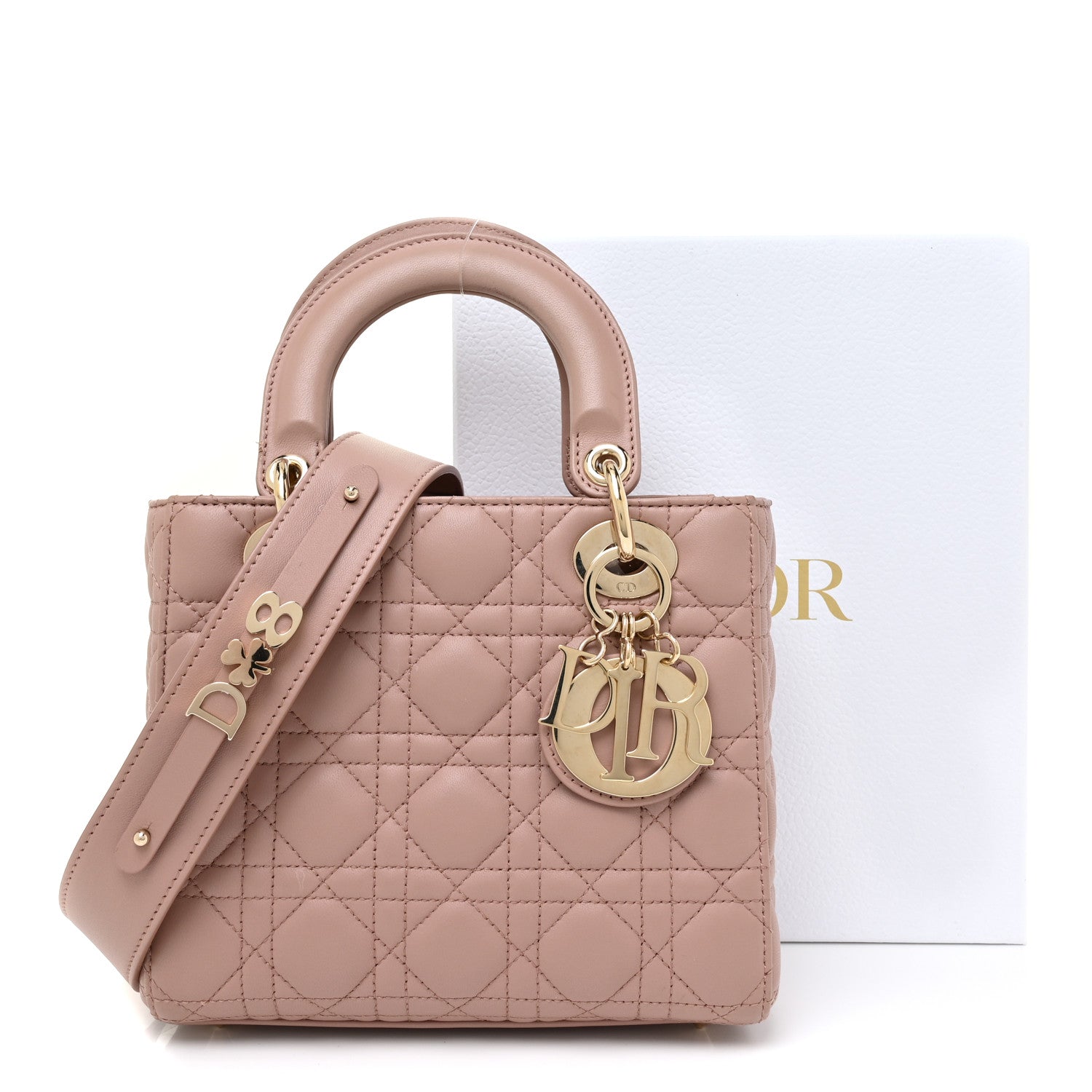 Christian Dior Lambskin Cannage Small My ABCDior Fard 20 of 20