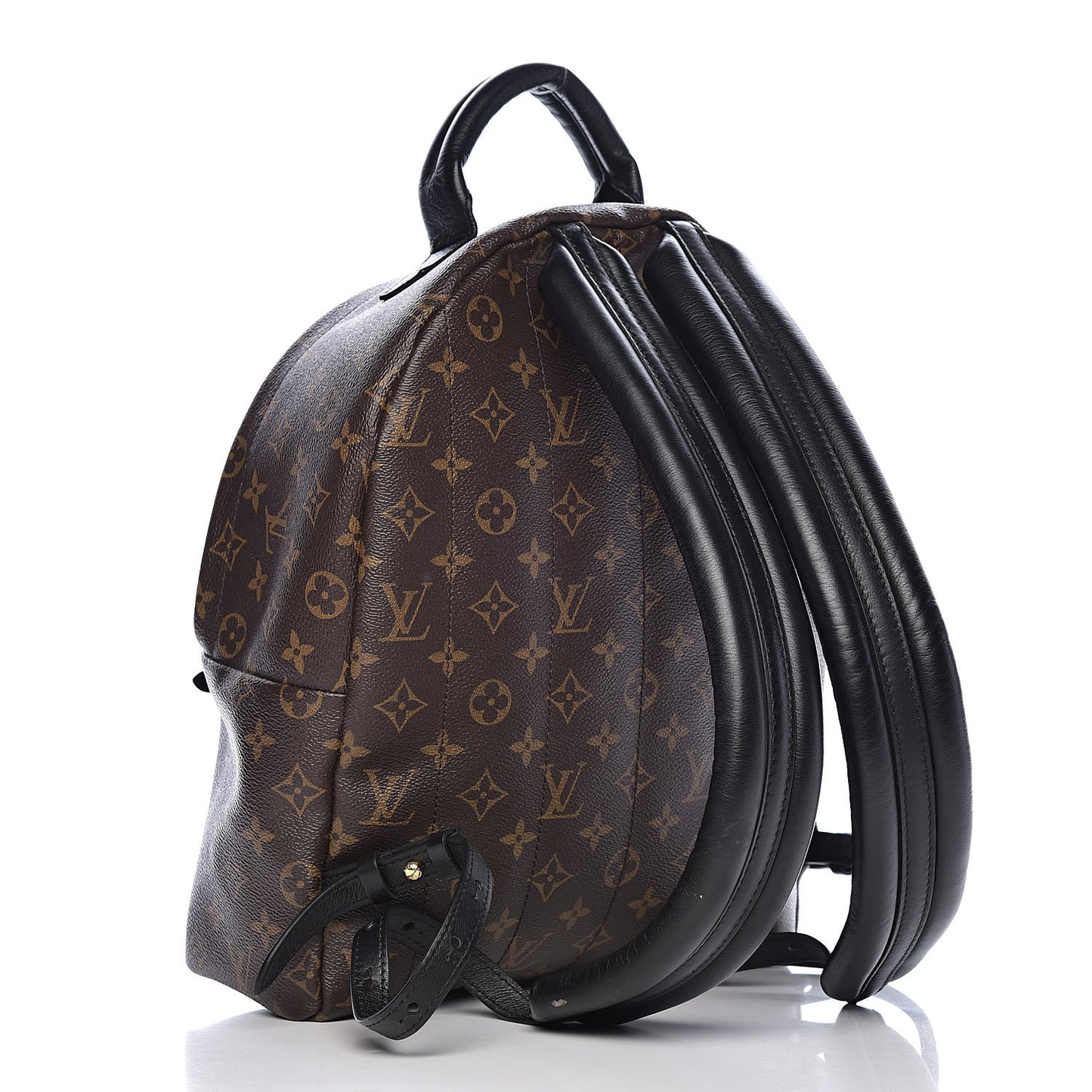 Monogram Palm Springs Backpack MM