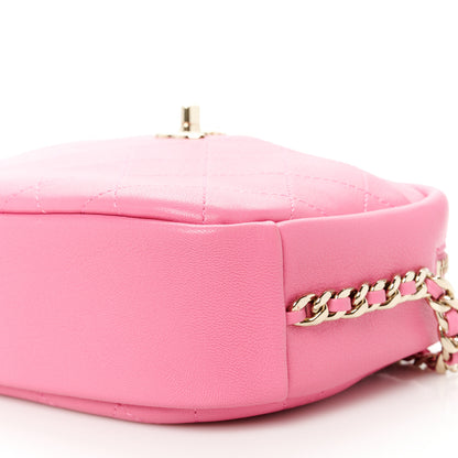 Chanel Goatskin Quilted Medium Casual Trip Camera Case Pink 10 of 10