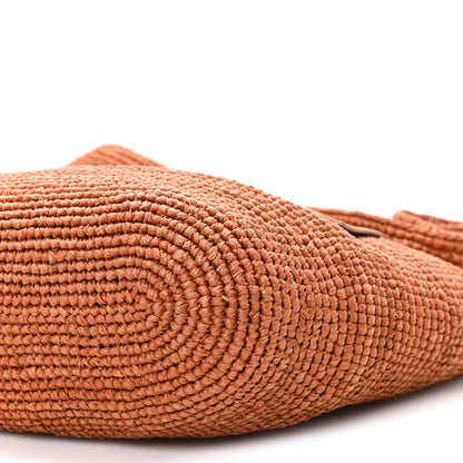 Loewe Raffia Mini Slit Tote Bag Honey Gold 9 of 10