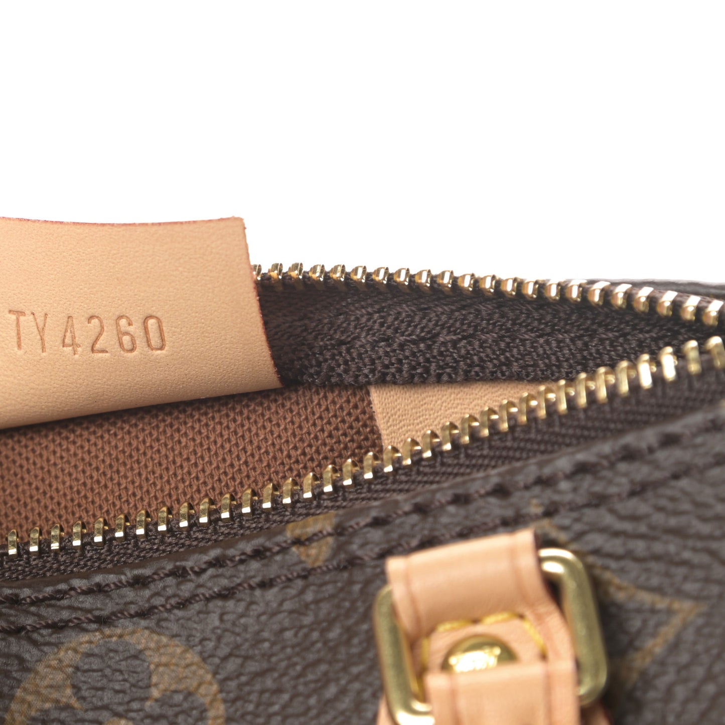 Monogram Nano Speedy