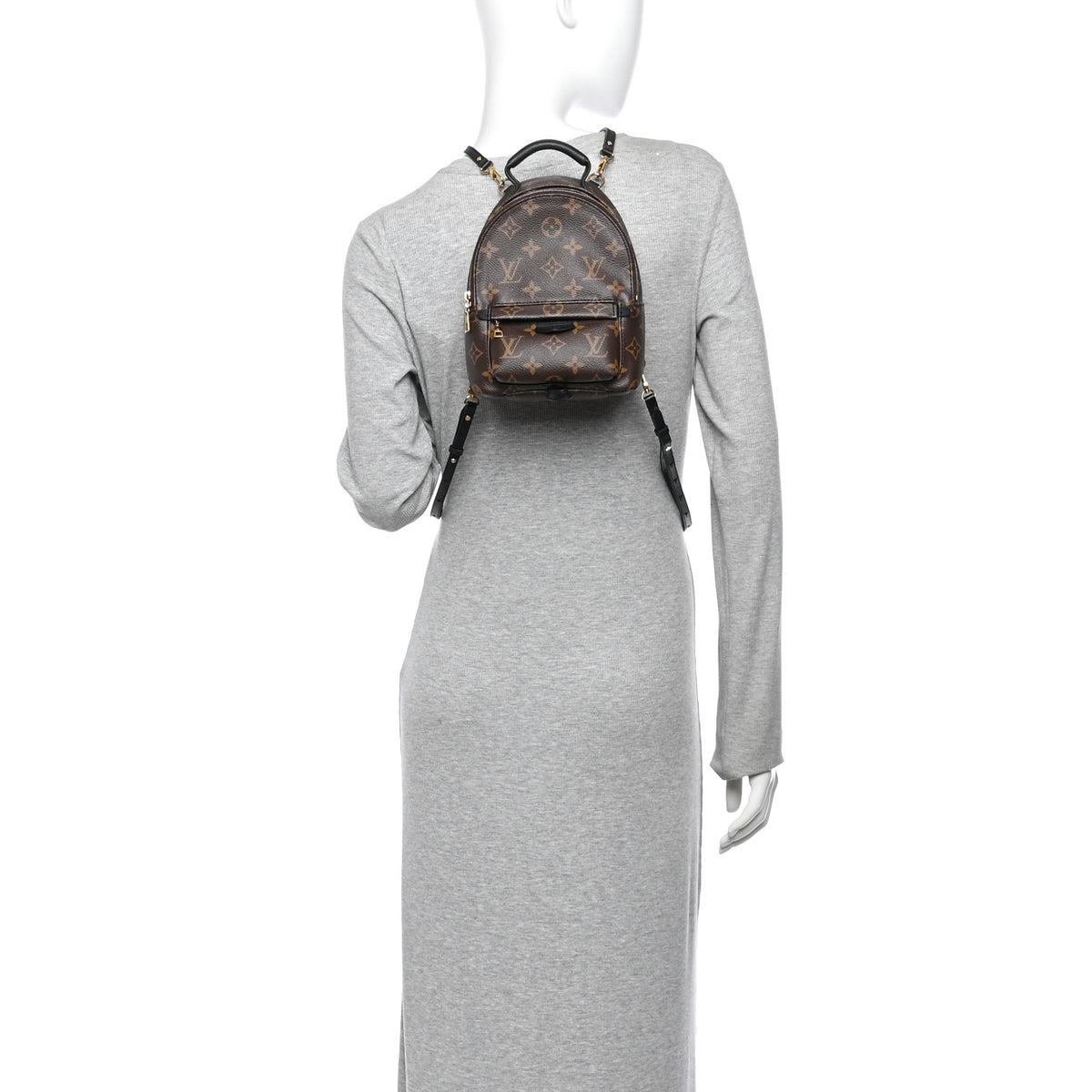 Monogram Palm Springs Backpack Mini
