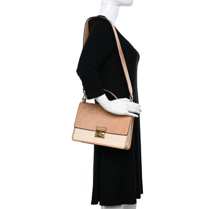 Fendi Vitello Cristallo Nature Canvas FF 1974 Embossed Kan U Shoulder Bag Makeup Grezzo 2 of 13