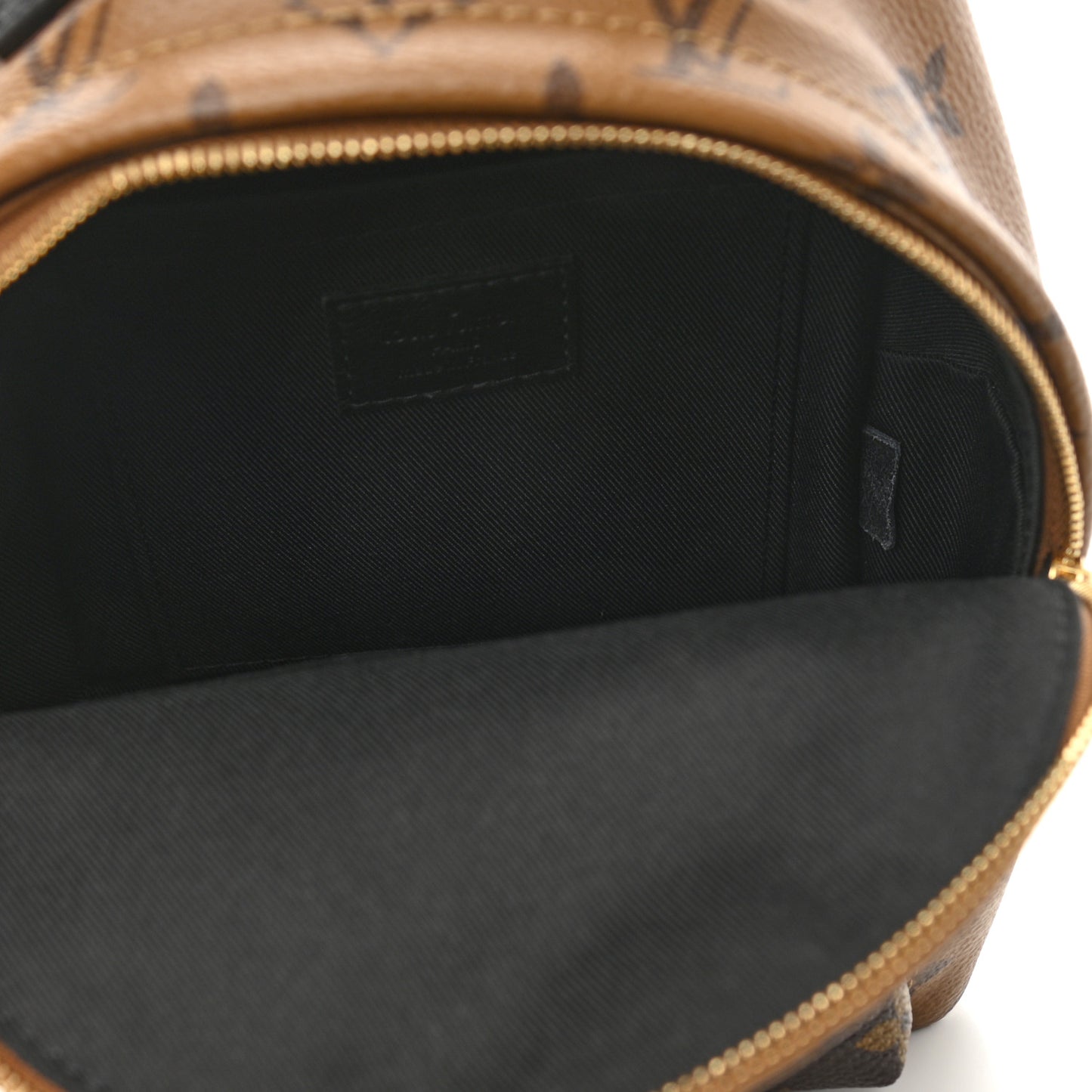 Reverse Monogram Palm Springs Backpack Mini