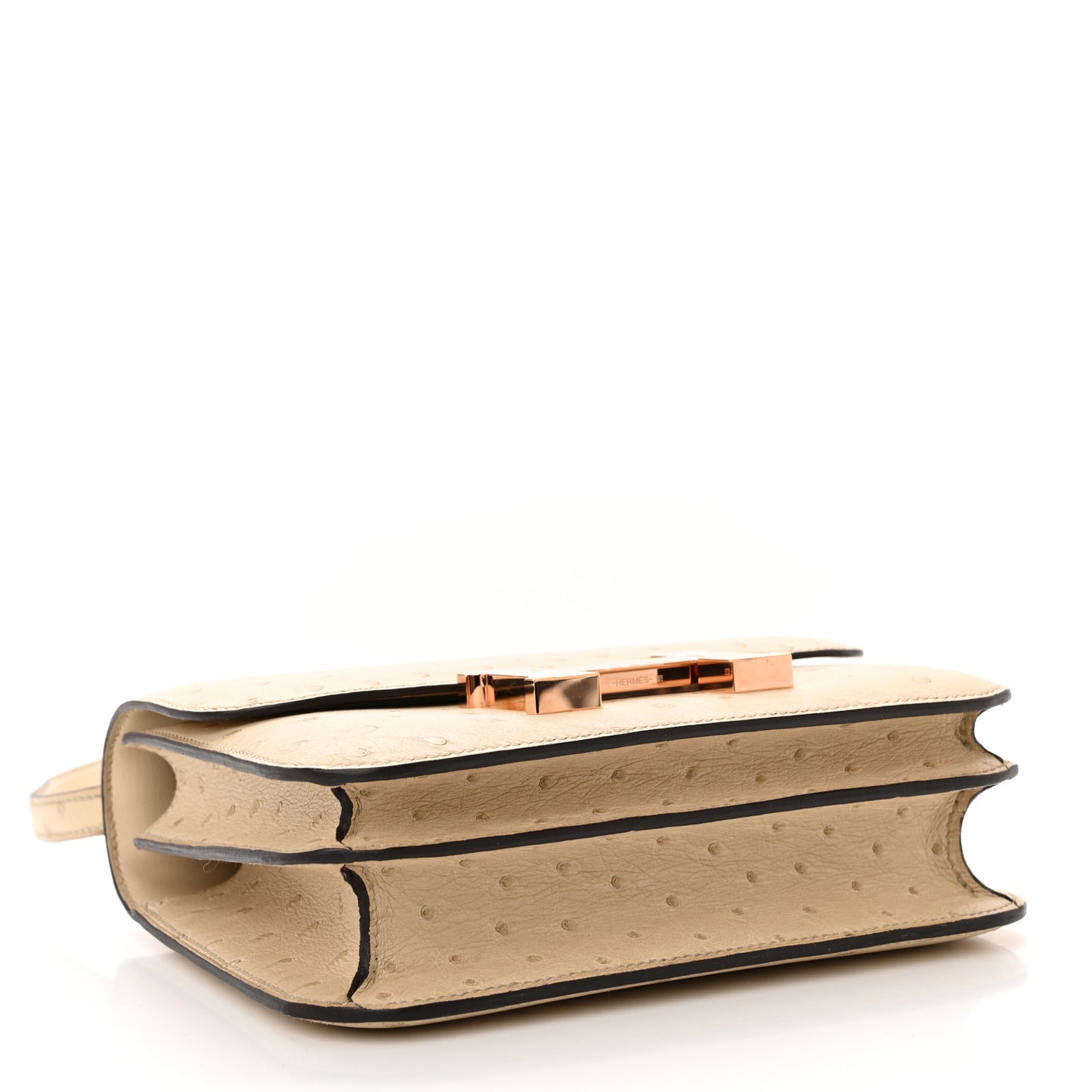 Ostrich Constance 18 Parchemin