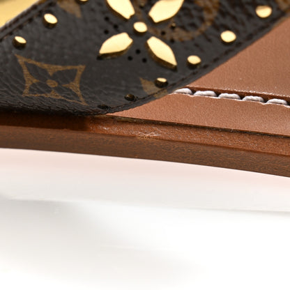 Louis Vuitton Monogram Sunny Flat Thong Sandals 38.5 Brown 9 of 10