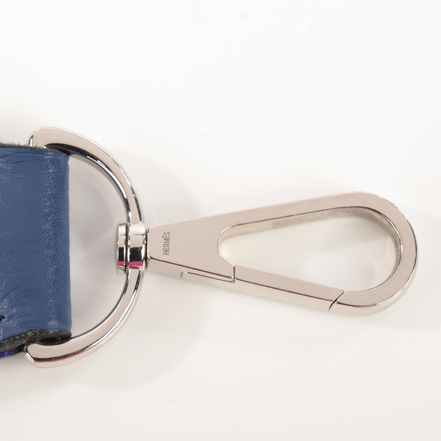 Taurillon Clemence Evelyne II PM Brighton Bleu