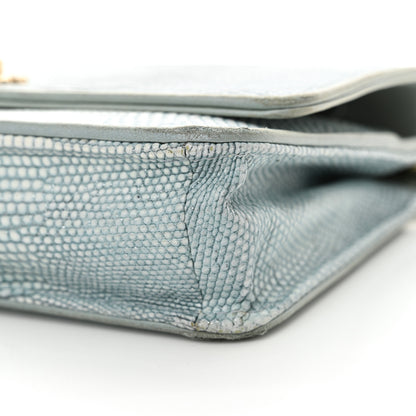 Chanel Lizard Wallet on Chain WOC Light Grey 11 of 19