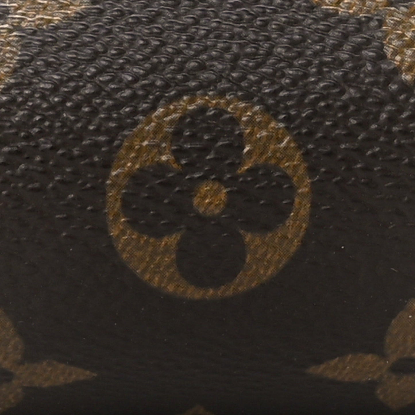 Monogram Mini Papillon Bag