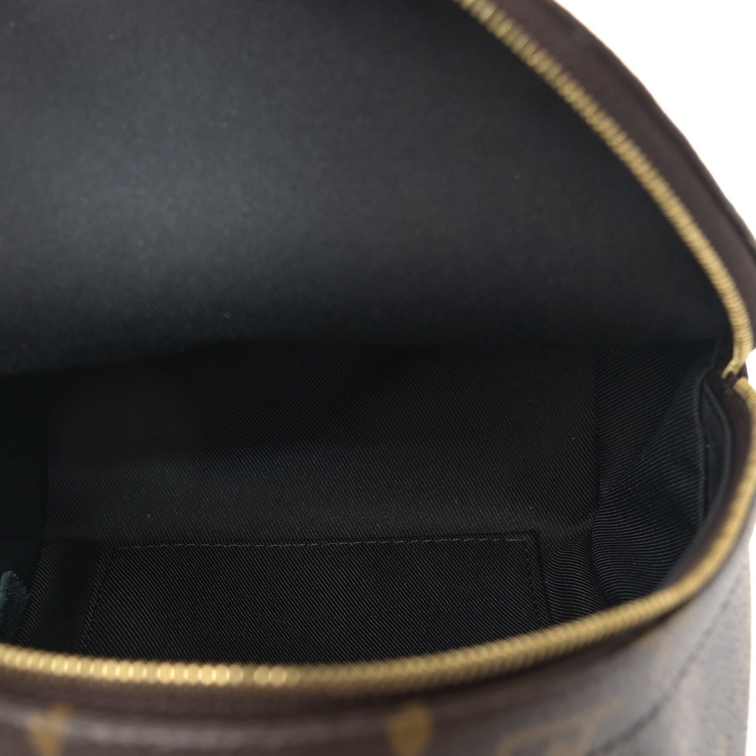 Louis Vuitton Monogram Palm Springs Backpack Mini 5 of 11