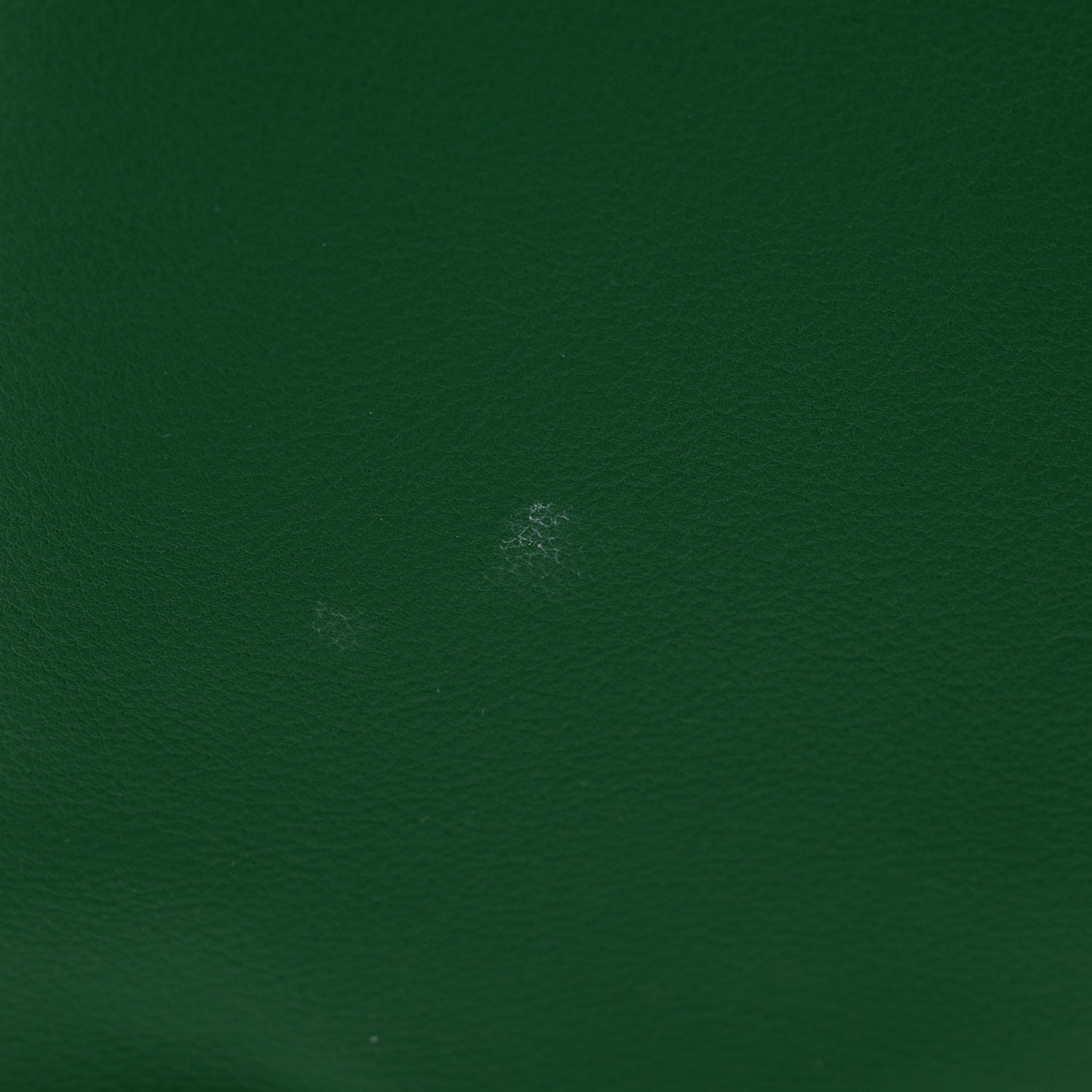 Goyard Goyardine Reversible Mini Anjou Green 19 of 19