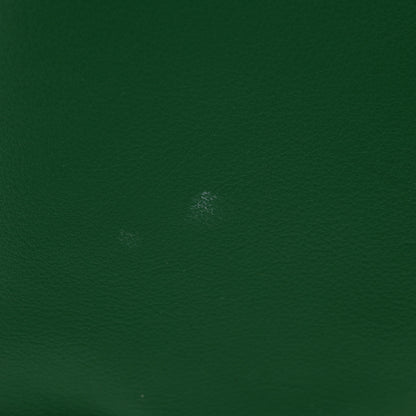 Goyard Goyardine Reversible Mini Anjou Green 19 of 19