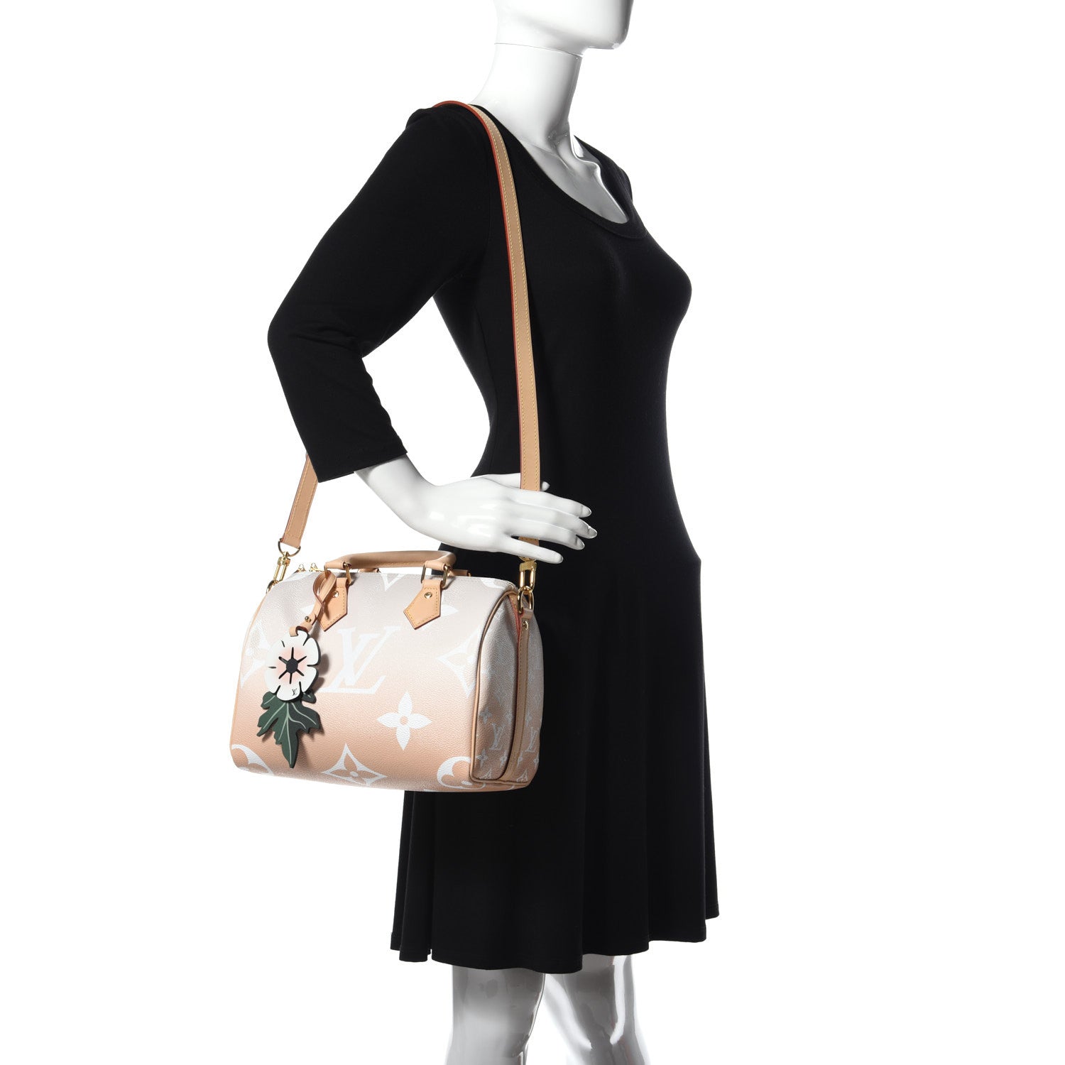 Louis Vuitton Monogram Giant By The Pool Speedy Bandouliere 25 Brume 2 of 11