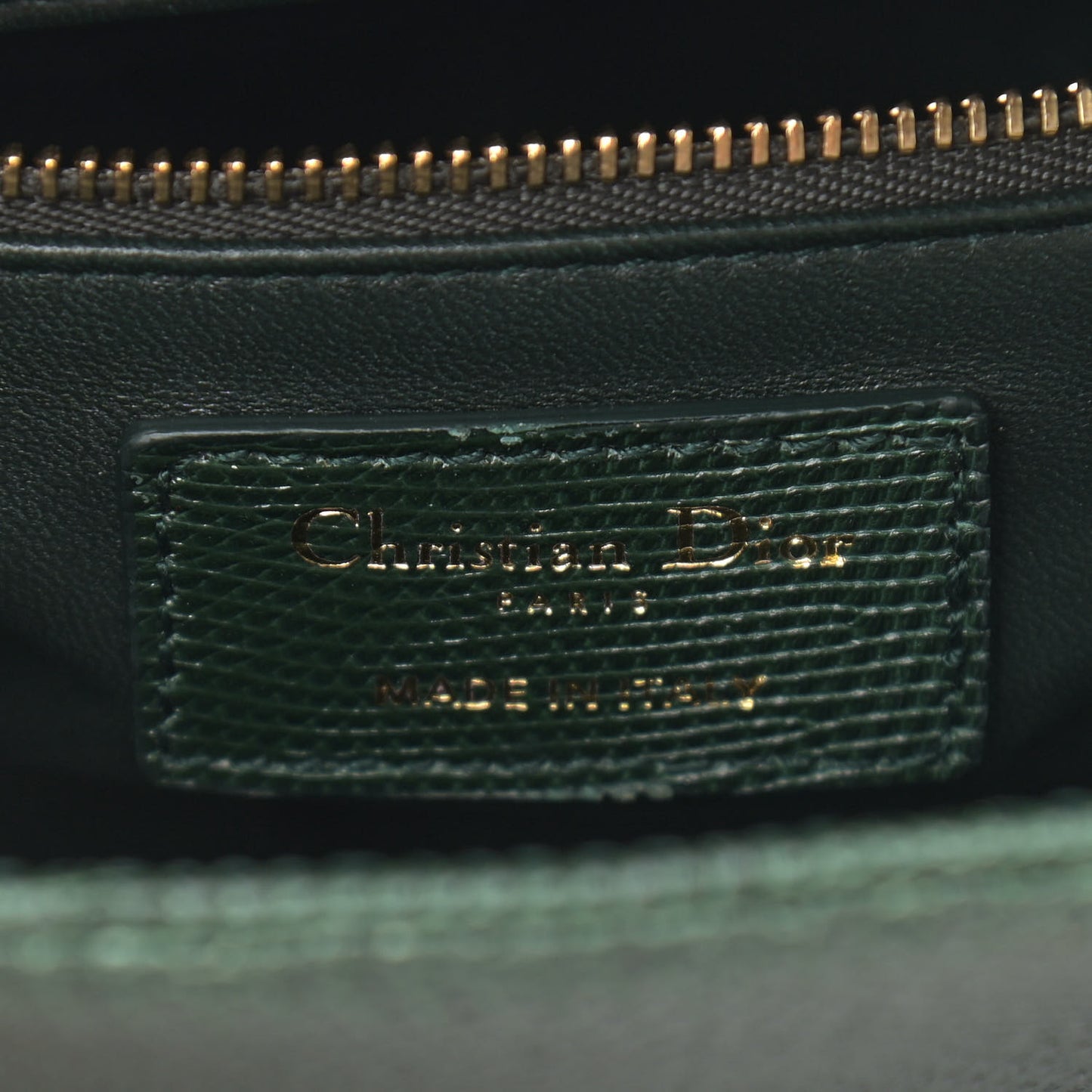 Lizard Mini Lady Dior Green