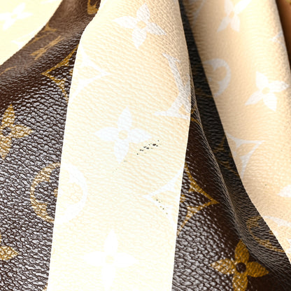 Louis Vuitton Monogram Rayures Noe 19 of 19