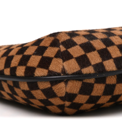Louis Vuitton Calf Hair Damier Sauvage Tigre 9 of 10