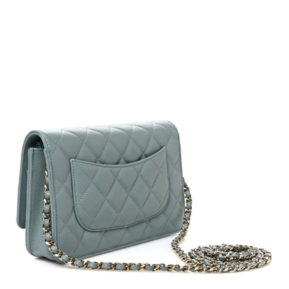 Chanel Caviar Quilted Wallet on Chain WOC Grey 2 of 11