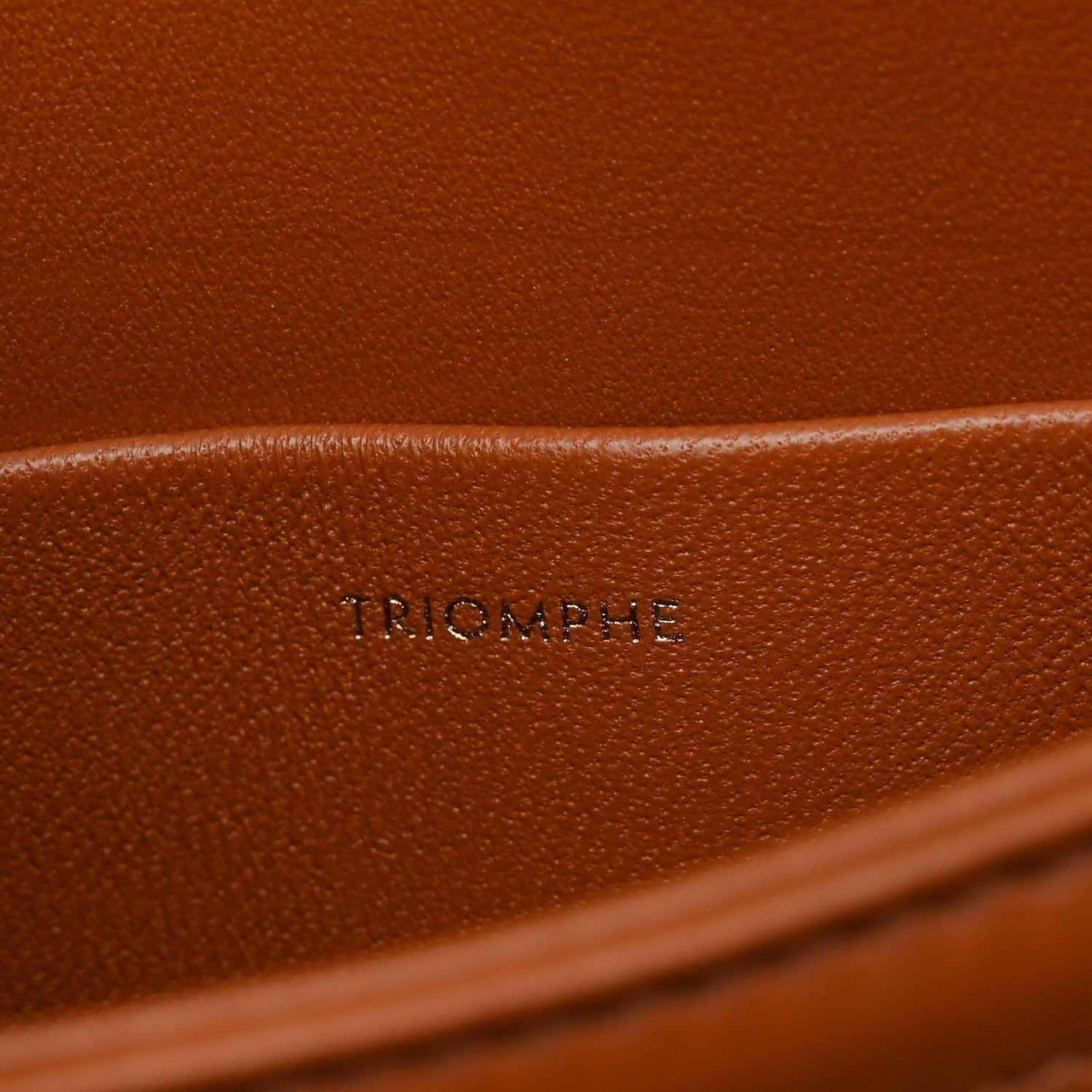 Celine Calfskin Triomphe Canvas Teen Triomphe Bag Tan 7 of 11