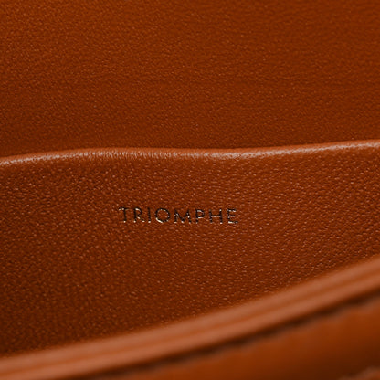 Celine Calfskin Triomphe Canvas Teen Triomphe Bag Tan 7 of 11