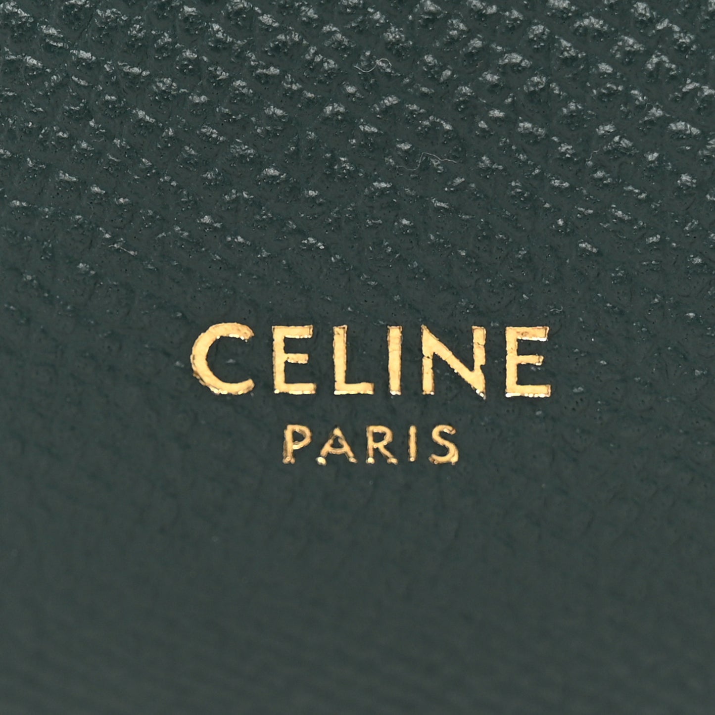 Grained Calfskin Micro Belt Bag Amazone